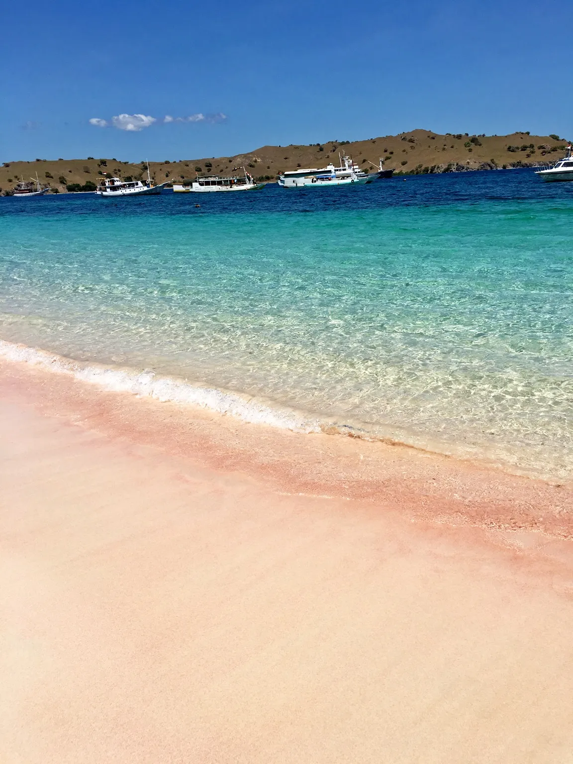 Pantai Pink