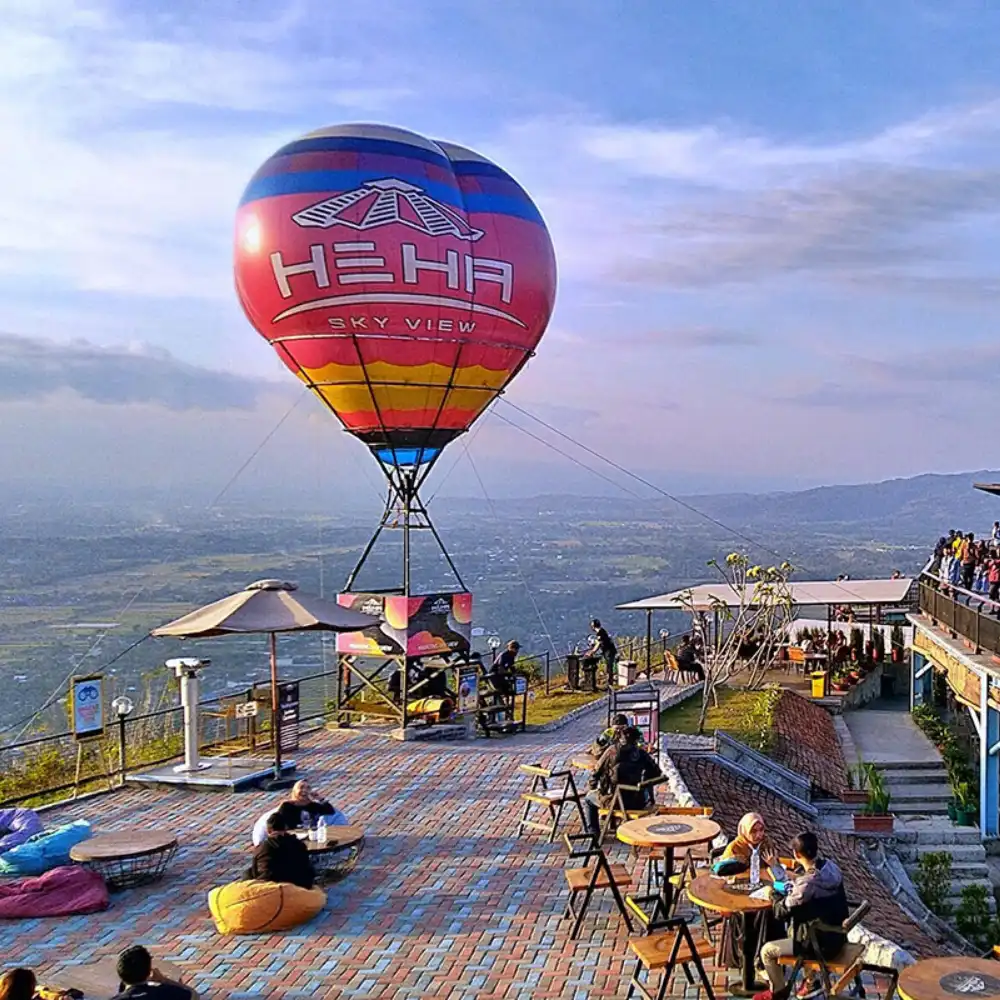 Instagramable Pine Forest